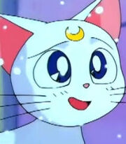 Artemis in Sailor Moon S the Movie