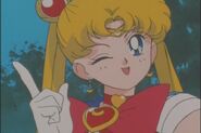 Higher and Stronger: A Cheer from Usagi (December 10, 1994)