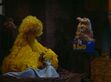 Big Bird is asleep in episode 2020