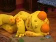 Binyah Binyah sleeping