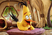 Chuck in The Angry Birds Movie 2