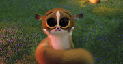 Mort (Madagascar)