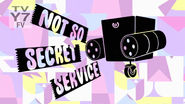 Not So Secret Service (Title Card)