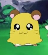 Penelope in Hamtaro.jpg (14 KB) Penelope (optional coach)