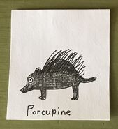 Porcupine Begins With P