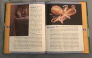 Scholastic Encyclopedia Of Animals (33)