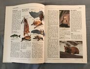 The Kingfisher Illustrated Encyclopedia of Animals (14)
