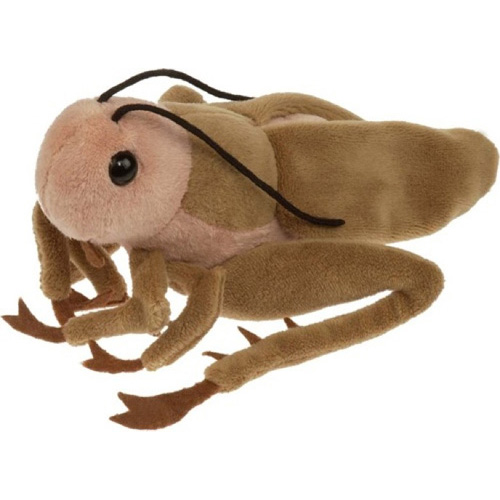 Cricket hotsell stuffed animal