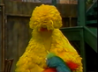 Big Bird and Honkers fall asleep through Savion's letter S swing in front of Natasha
