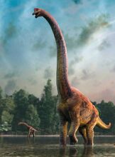 Brachiosaurus (V2).jpg