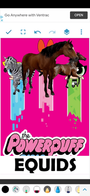 PPEquids2016 Poster