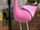 Pinky (The Penguins of Madagascar)