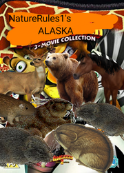 Alaska Series poster