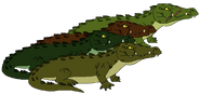 Crocodiles thewildlifeland13