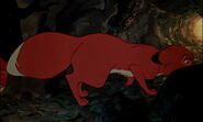 Fox-and-the-hound-disneyscreencaps.com-8312