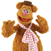 Fozzie bear 2014