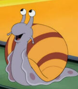 Snail as Tico