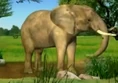 Little Einsteins African Elephant.png (151 KB) Little Einsteins (2005-2009)