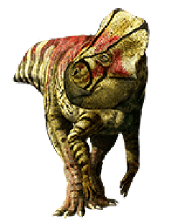 Microceratus-info-graphic.png
