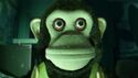 Monkey as Music Man