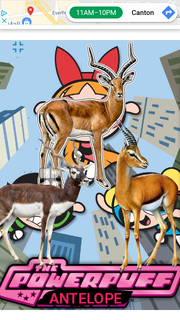 PPANTLPE1998 Poster.png