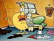 Rocko-03.jpg (13 KB)