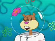 Sandy Cheeks fell asleep in Prehibernation Week