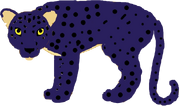 Spotty the Leopard.webp