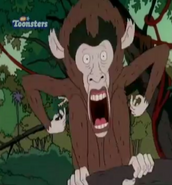 TWT Macaque