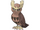 Noctowl