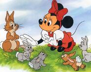 Bunnies-in-baby-animals-from-disney-discovery-series
