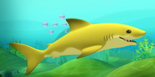 Lemmon Shark