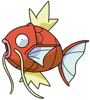 Magikarp rosemaryhillspokemonadventures