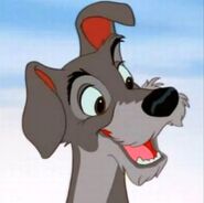 Tramp the Dog (Disney)