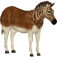 Quagga