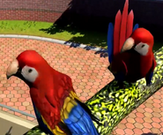 Scarlet-macaw-zootycoon3