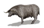 Shrub-Ox as Kulindadromeus