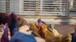 Sleeping Muppets (3)