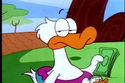 Wade Duck .jpg