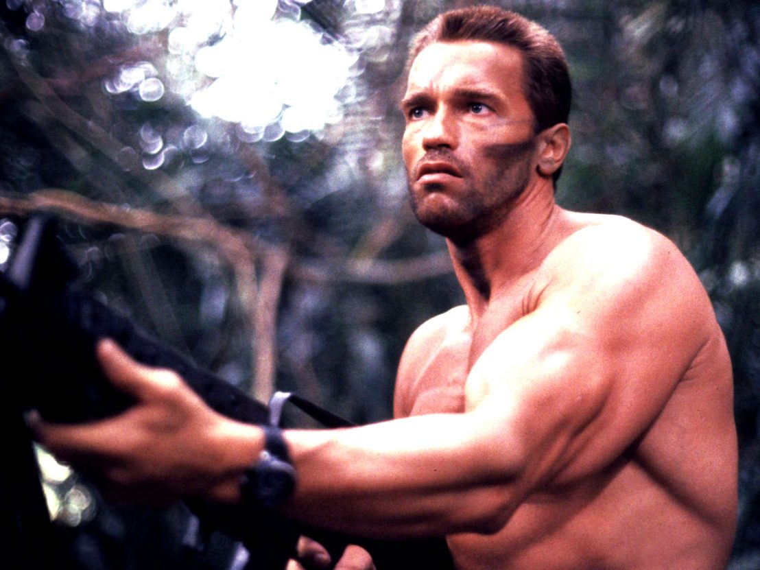 Arnold Schwarzenegger | The Parody Wiki | Fandom