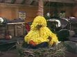 Big Bird and the rest of the campers sleep in Cabin 10