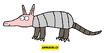 Nine-Banded Armadillo