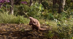 List Of Species In The Jungle Book The Parody Wiki Fandom