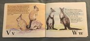 The Furry Animal Alphabet Book (13)