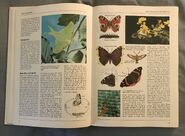 The Kingfisher Illustrated Encyclopedia of Animals (26)