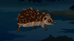 European Hedgehog