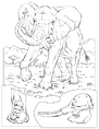 Nationalgeographic coloringbook elephant.gif (42 KB)