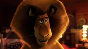 Alex madagascar.jpg