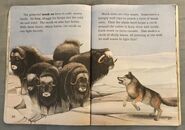 Awesome Animals (Road to Reading) (11)