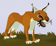 Caracal